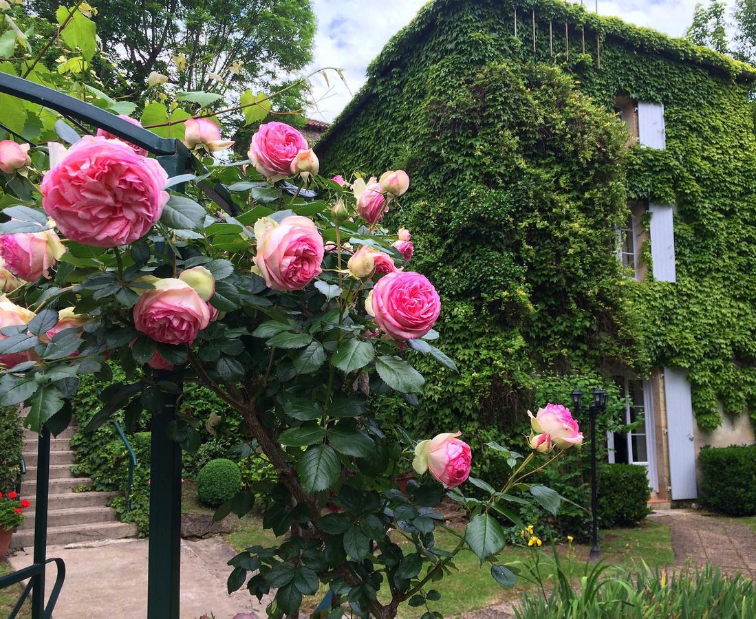 Le Moulin De La Beune Les Eyzies Dış mekan fotoğraf
